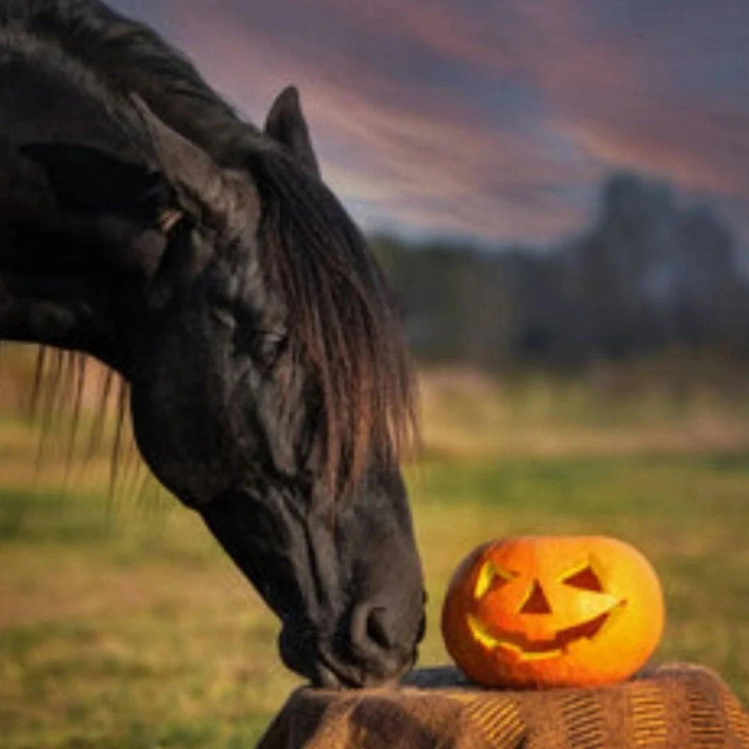 Halloween Campfire Night