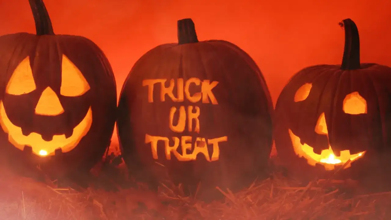 Trick or Treat at Meadow View Stables